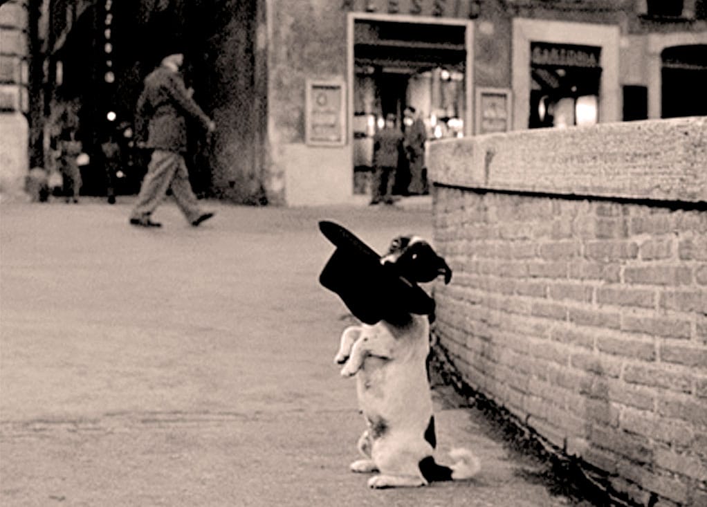 Your Tax Deductible Contribution works wonders.