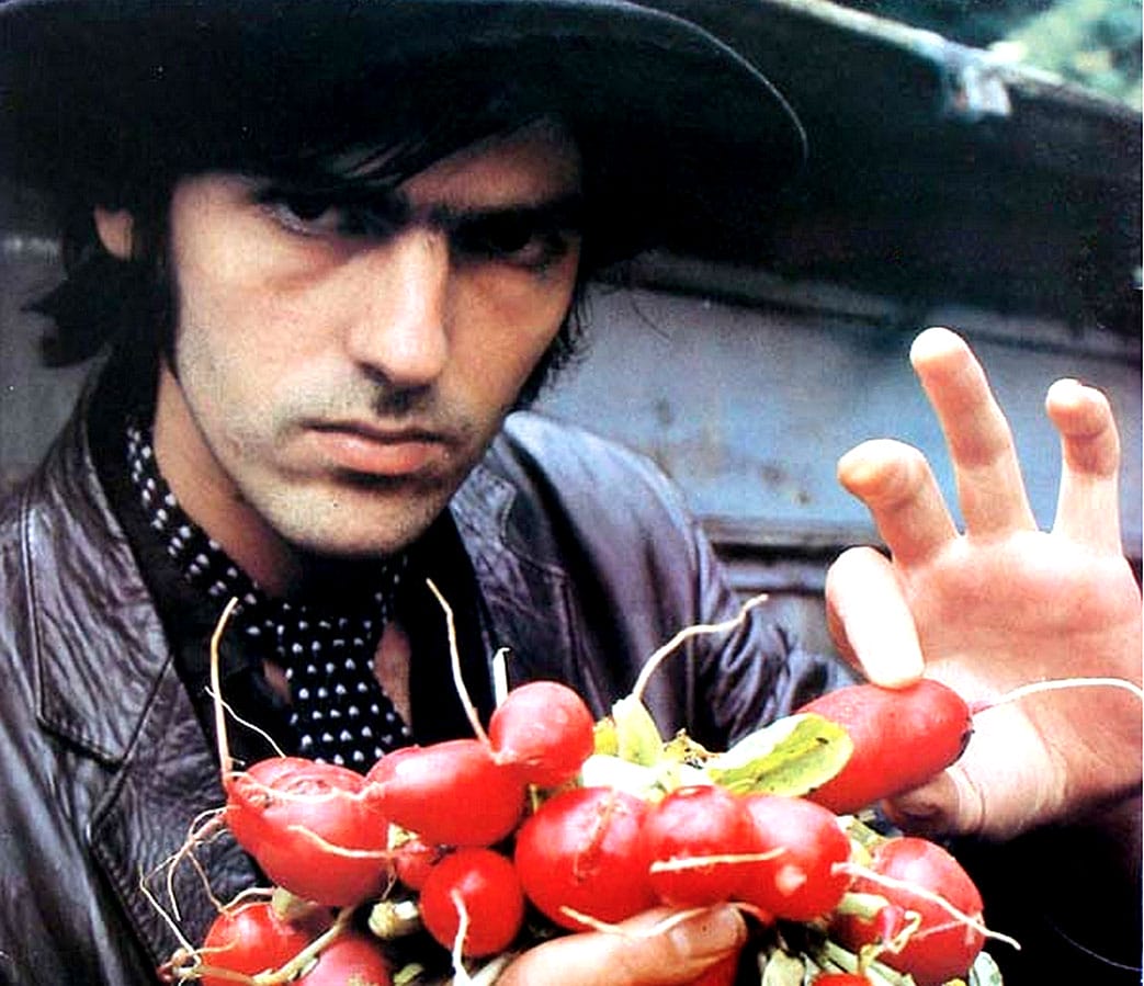 Robyn Hitchkock - in search of the perfect Salad.