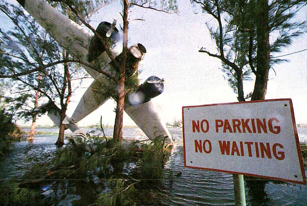Fallen tree blocking floodwaters near a "No Parking, No Waiting" sign after a storm or flood event.