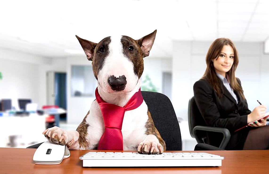 Take Your Dog To Work Day