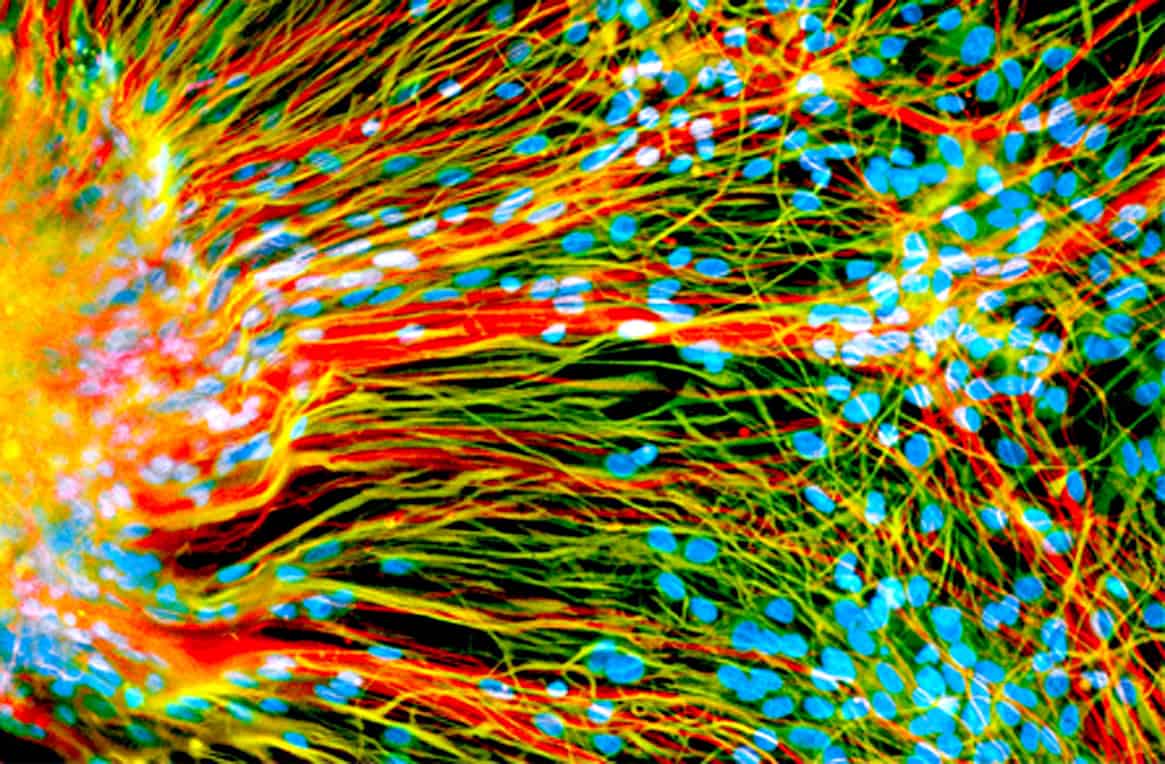 Colorful neural network with bright red, yellow, green, and blue connections representing sound waves, news, history, and music archives at Past Daily.