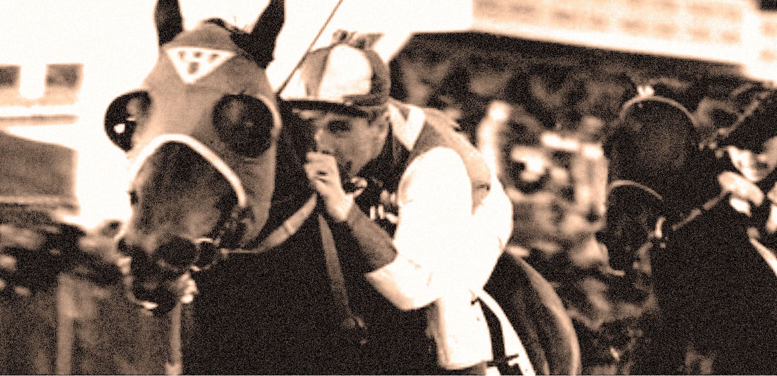 Horse racing jockey with race horses at the starting gate during a horse race event.