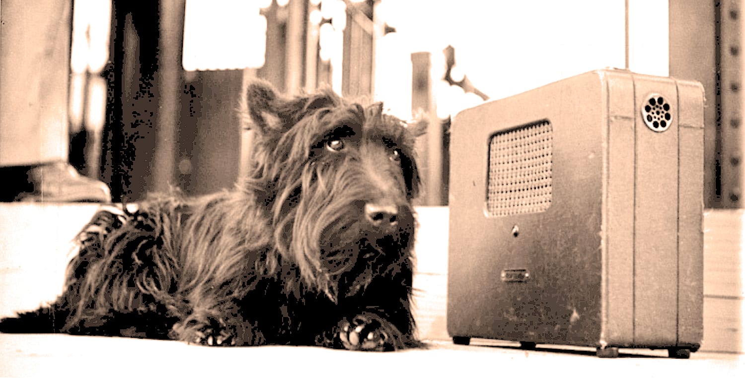 First Dog Fala