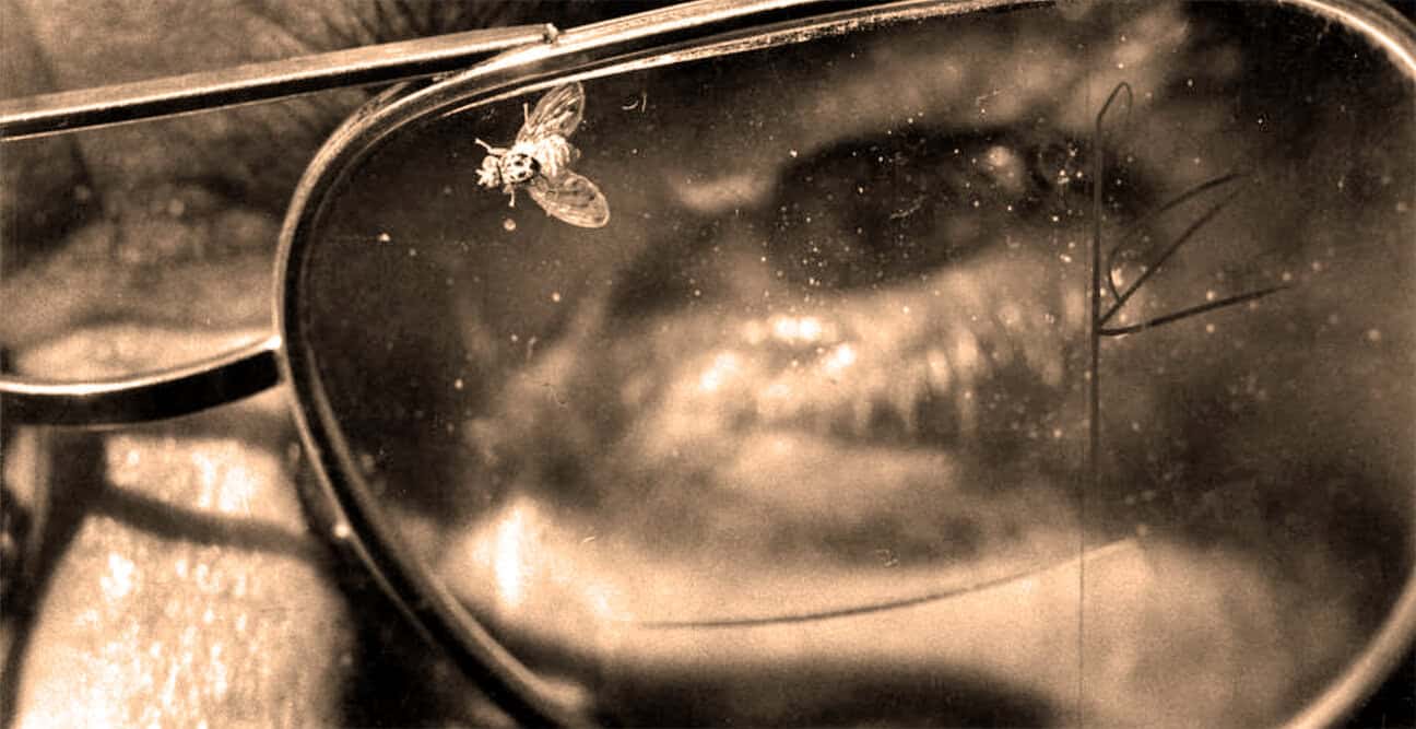 Beekeeper's veil with a honeybee, symbolizing nature, honey production, and beekeeping activities.